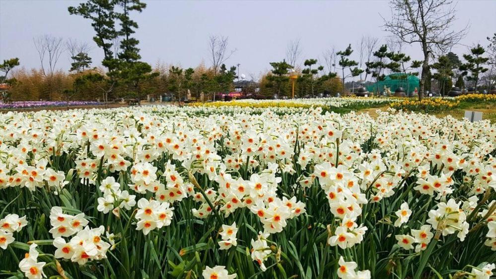 Taean Sugasolbang Hotel Exterior photo