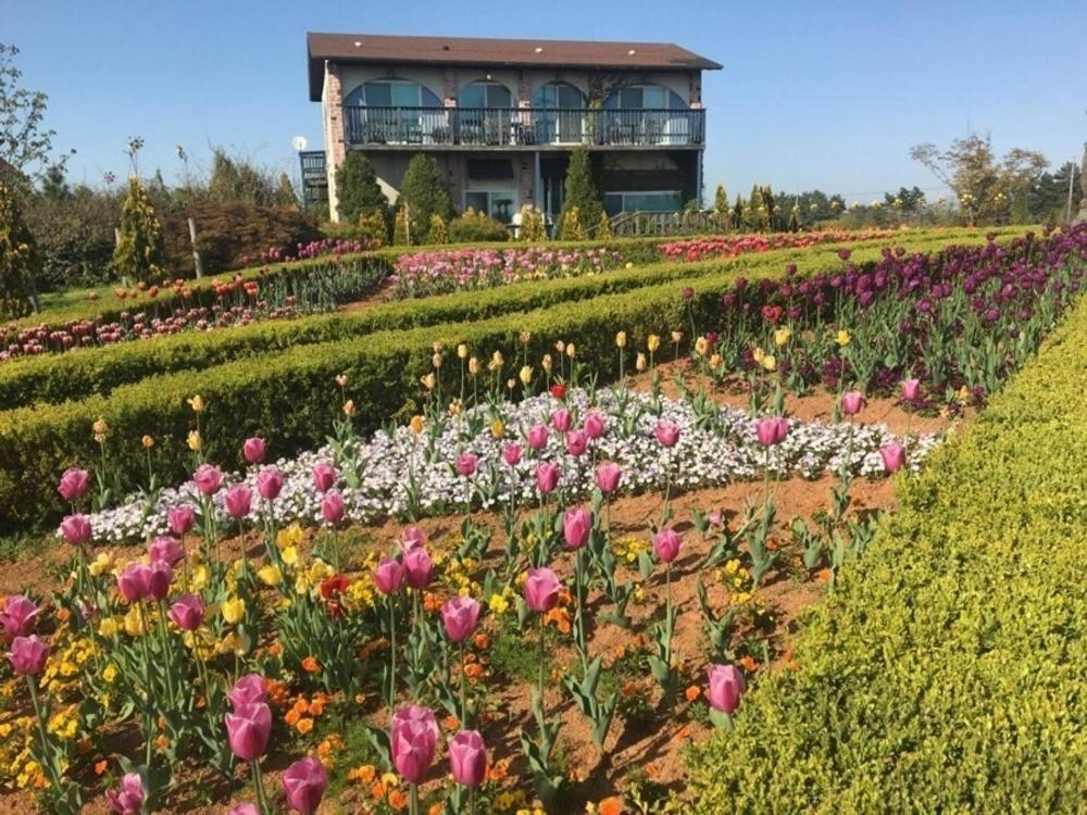 Taean Sugasolbang Hotel Exterior photo